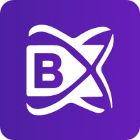 BlockchainX Logo