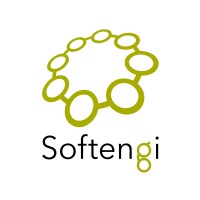 Softengi Logo