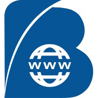 Balli Digital Solutions Logo