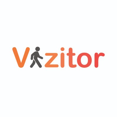 Vizitor Logo