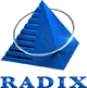 Radixweb Logo