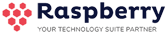 Raspberry IT Services Logo